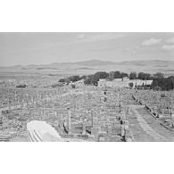 Ruines de Timgad. [légende d'origine]