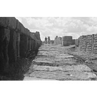 Ruines de Timgad. [légende d'origine]