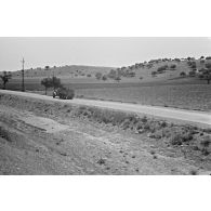 Photos prises à la volée depuis un train lors d'un transfert Alger-Batna en wagon à bestiaux (14 juin 1956). [légende d'origine]