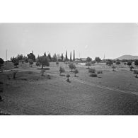 Photos prises à la volée depuis un train lors d'un transfert Alger-Batna en wagon à bestiaux (14 juin 1956). [légende d'origine]