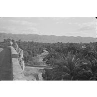 Palmeraie d'El Kantara, photographiée alors que la compagnie d'A. Perrin est au repos. [légende d'origine]
