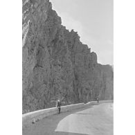 Palmeraie d'El Kantara, photographiée alors que la compagnie d'A. Perrin est au repos. [légende d'origine].