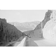 Palmeraie d'El Kantara, photographiée alors que la compagnie d'A. Perrin est au repos. [légende d'origine]