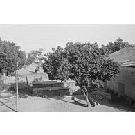Manifestations de juin 1958 à Batna, probablement à l'occasion de la venue du général de Gaulle. [légende d'origine]