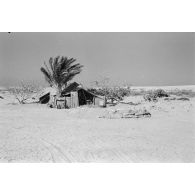 La cuisine du 4./JG.27 (Jagdgeschwader JG-27).