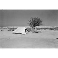 La cuisine du 4./JG.27 (Jagdgeschwader JG-27).