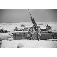 A proximité ou à Marsa Matruh, une batterie de DCA de 8,8 cm FlaK 36 L/56.