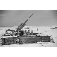 A proximité ou à Marsa Matruh, une batterie de DCA de 8,8 cm FlaK 36 L/56.