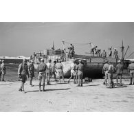 Déchargement d'un Marinefährprahm de la marine allemande (Kriegsmarine), ici la cargaison est constituée de bêtes (chèvres et de moutons).