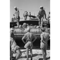 Déchargement d'un Marinefährprahm de la marine allemande (Kriegsmarine), ici la cargaison est constituée de bêtes (chèvres et de moutons).