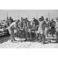 Déchargement d'un Marinefährprahm de la marine allemande (Kriegsmarine), ici la cargaison est constituée de bêtes (chèvres et de moutons).