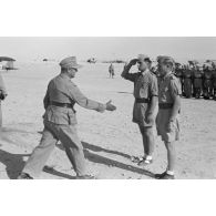 Le général Hans Seidemann félicite les deux récipiendaires de la croix de chevalier de la croix de fer (Ritterkreuz).