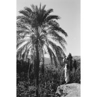 Le village de Xidas (Crète).