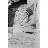 A Xidas, une femme récolte du lin.