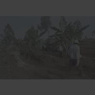 Pelleteuse du régiment du génie de l'air (RGA) et volontaires civils près d'une fosse commune.