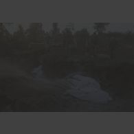 Des volontaires civils à bord de camions jettent des cadavres dans une fosse commune à Goma.