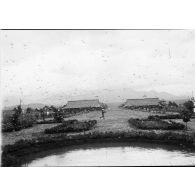 [L'avenue principale du village de Betroka envahie par un essaim de sauterelles.]