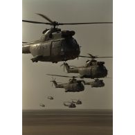 Les hélicoptères de transport Puma du 1er RHC (régiment d'hélicoptères de combat) en vol pour héliportage du 1er RI (régiment d'infanterie) au nord de la zone française.