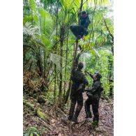 Des soldats du 7e bataillon de chasseurs alpins (BCA) ramassent du bois à Maripasoula, en Guyane française.