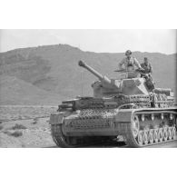 Une colonne de chars Panzer IV (Pz-IV Ausf-G) et Panzer III (Pz-III Ausf-L) du Panzer.Regiment 7 (Pz.Rgt-7) de la 10e division blindée allemande (10-Pz.Div.).