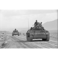 Une colonne de chars Panzer IV (Pz-IV Ausf-G) et Panzer III (Pz-III Ausf-L) du Panzer.Regiment 7 (Pz.Rgt-7) de la 10e division blindée allemande (10-Pz.Div.).