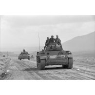 Une colonne de chars Panzer IV (Pz-IV Ausf-G) et Panzer III (Pz-III Ausf-L) du Panzer.Regiment 7 (Pz.Rgt-7) de la 10e division blindée allemande (10-Pz.Div.).
