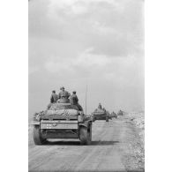 Une colonne de chars Panzer IV (Pz-IV Ausf-G) et Panzer III (Pz-III Ausf-L) du Panzer.Regiment 7 (Pz.Rgt-7) de la 10e division blindée allemande (10-Pz.Div.).