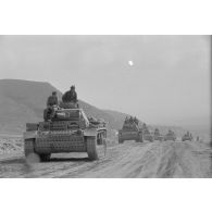 Une colonne de chars Panzer IV (Pz-IV Ausf-G) et Panzer III (Pz-III Ausf-L) du Panzer.Regiment 7 (Pz.Rgt-7) de la 10e division blindée allemande (10-Pz.Div.).