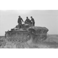 Des chars Pz-III (Pz-III Ausf-H) manoeuvrent dans une vaste plaine.