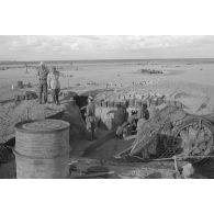 Vues générales de la position occupée par des troupes allemandes et italiennes, les alvéoles sont occupées par des pièces italiennes de 100/17.