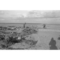 Les alvéoles recouvertes de bâches ou de filets de camouflage.