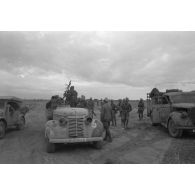 Véhicules britanniques capturés, aupremier plan, on note l'immatriculation WH 799 085