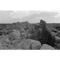 Une position d'observation de l'Axe dans le secteur de Sidi Azeiz.