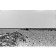 Le déplacement du capitaine Wilhelm Bach s'effectue sous l'escorte de plusieurs véhicules dont un véhicule de reconnaissance allemand (Sd.kfz.222).