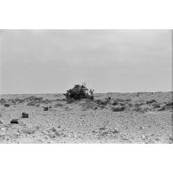 Un véhicule de reconnaissance Sd.kfz.222 (immatriculé WH-642 265).