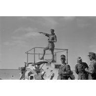 Le chef d'une unité de reconnaissance (Spähtruppführer), l'adjudant (Feldwebel) Apsel observe aux jumelles sur le toit d'un Sd.kfz.223 (immatriculé WH 642 265).