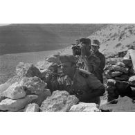 Le Major italien Pardi présente au commandant allemand Panzenhagen la position dominante des forces de l'Axe à Halfayapass.