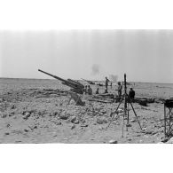 Depuis les positions dominantes sur le Halfayapass, la riposte de la 2e batterie du FlaK I./33 suite à des tirs de l'artellerie britannique.