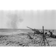 Depuis les positions dominantes sur le Halfayapass, la riposte de la 2e batterie du FlaK I./33 suite à des tirs de l'artellerie britannique.