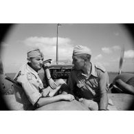 Portrait du radio-mitrailleur à bord du Messerschmitt Bf-110 de l'adjudant-chef (Oberfeldwebel) Richard Heller du Zerstörergeschwader 26 Horst Wessel (ZG.26).