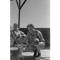 La mascotte baptisée "Whisky", un bébé lion.