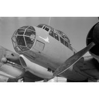 En Egypte, le retour de mission d'un avion de reconnaissance Junkers Ju-88, nettoyage d'un canon de Messerschmitt Bf-109 et des blindés Panzer IV roulent sur le sable égyptien.