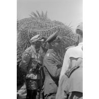 Rommel visite l'oasis de Siwa.