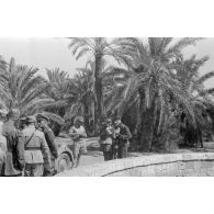 Rommel visite l'oasis de Siwa, ici les bains de Cléopâtre.