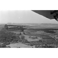 Rommel visite l'oasis de Siwa, survol du secteur à bord d'un avion de liaison Fieseler Fi-156 Storch codé  DO+AI.