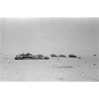 Mise en batterie d'une batterie de 4 canons de 8,8 cm Flak sur le front d'El Alamein.