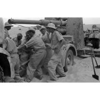 Mise en batterie d'une batterie de 4 canons de 8,8 cm Flak sur le front d'El Alamein.