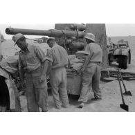 Mise en batterie d'une batterie de 4 canons de 8,8 cm Flak sur le front d'El Alamein.