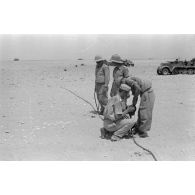 Mise en batterie d'une batterie de 4 canons de 8,8 cm Flak sur le front d'El Alamein.