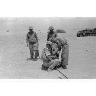 Mise en batterie d'une batterie de 4 canons de 8,8 cm Flak sur le front d'El Alamein.